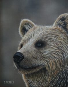 Grizzly Bear (30X24)