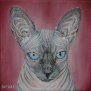 Sfinx Kat Kaylin (20X20)